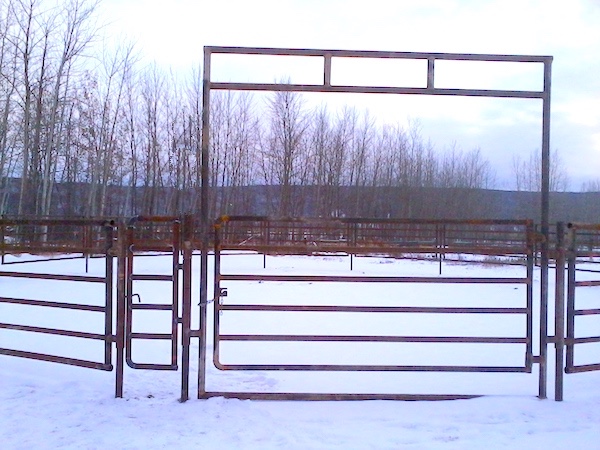 Steel horse gates for sale by ClearFab Manufacturing